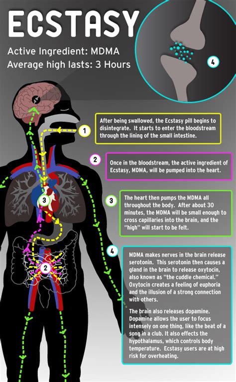 side effects of taking ecstasy